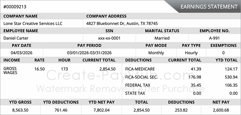 Professional pay stub template showing earnings, deductions, and net pay