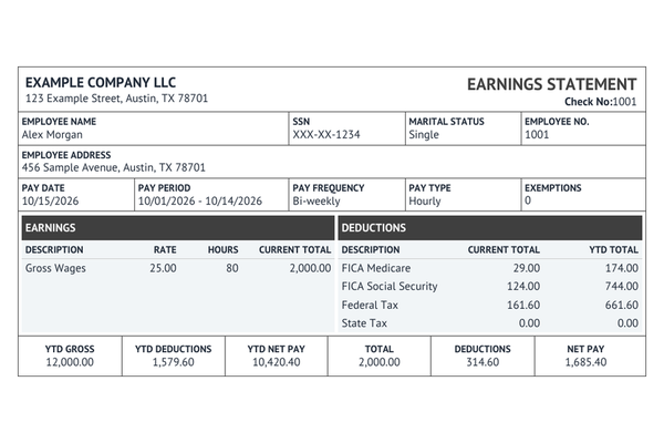 Classic pay stub template example
