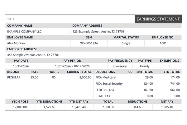 Regular pay stub template example