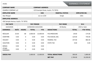 Enhanced pay stub example